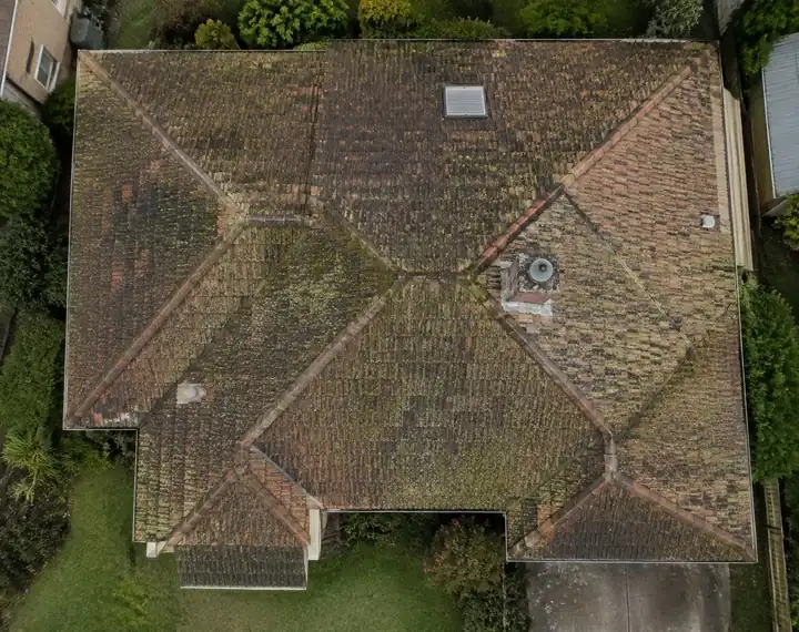 Example roof, seen from above, covered in moss and dirt
