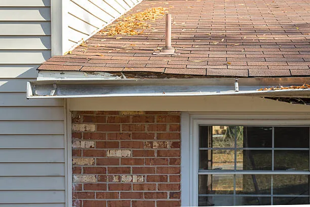 Gutter along a roof edge with fallen leaves collected in it